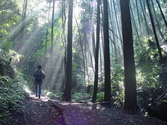 神奈川県『七沢森林公園』