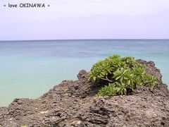 石垣島を一日で遊ぶには・・？