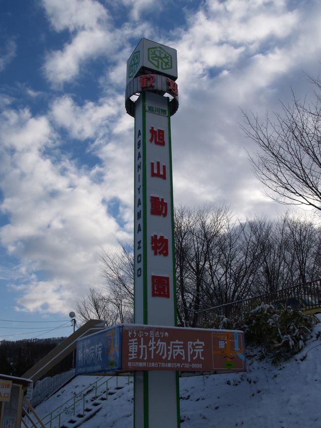 旭山動物園に行きたくなって、北海道一人旅です。<br /><br />２泊３日にも関わらず、函館・札幌・小樽・旭川に行くことに。<br /><br />道内での移動はすべて電車だったので、時間を気にしながら忙しい旅行になりました。<br />