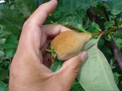 木曾路から　「草津温泉」へ