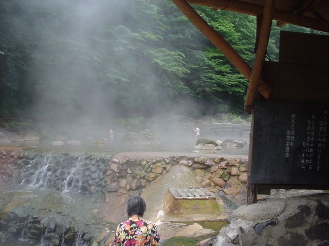 2年前の夏休みに三重から茨城県をまわり日光方面からこの六合村に寄った。<br />「道の駅:六合」に隣接する‘応徳温泉’は第一印象、<br />「ボロいなあ」<br />入ると、「せまいなあ、きたないなあ。でも鄙びた感じでゆっくりできる」。<br />お湯は、それまで知っていたどの湯より効き目のあるものだった。<br />以来、「もう一度入ってみたい」温泉でした。<br /><br />今回、草津温泉に入った後なので、前回ほど感動はなかった。<br />しかも湯船は新規改装されていて、鄙びた感じが減少。<br />湯の花は2年前はいっぱい出ており「キタナイナア」とまで思わせたくらいだが、今回は非常に少なかった。<br />源泉度が低下したのではないか?<br /><br />まあ、ともあれ、休憩室は田舎の公民館のようで昔と変わらず、一日中でもゴロゴロゆっくりできる。<br />やっぱり、日本で一番の湯、と小生は思うのであります。<br />(パートナーに言わせれば、それほどでもないそうな)<br />(こうしたことは、往々主観的なものなので、アシカラズ)<br />
