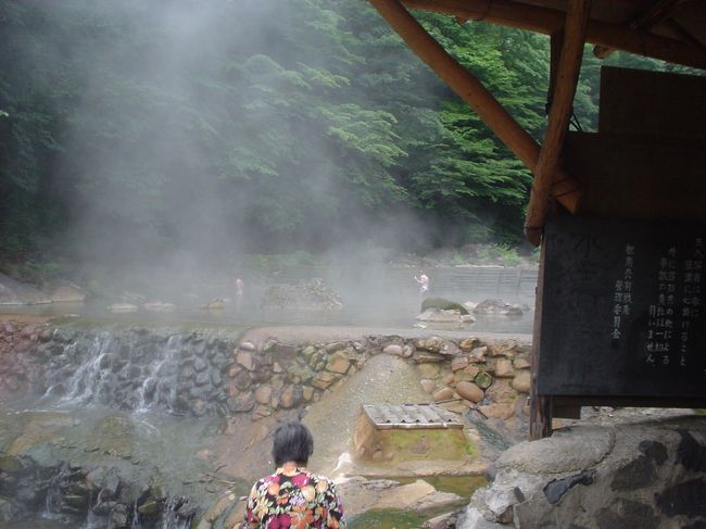 2年前の夏休みに三重から茨城県をまわり日光方面からこの六合村に寄った。<br />「道の駅：六合」に隣接する‘応徳温泉’は第一印象、<br />「ボロいなあ」<br />入ると、「せまいなあ、きたないなあ。でも鄙びた感じでゆっくりできる」。<br />お湯は、それまで知っていたどの湯より効き目のあるものだった。<br />以来、「もう一度入ってみたい」温泉でした。<br /><br />今回、草津温泉に入った後なので、前回ほど感動はなかった。<br />しかも湯船は新規改装されていて、鄙びた感じが減少。<br />湯の花は2年前はいっぱい出ており「キタナイナア」とまで思わせたくらいだが、今回は非常に少なかった。<br />源泉度が低下したのではないか？<br /><br />まあ、ともあれ、休憩室は田舎の公民館のようで昔と変わらず、一日中でもゴロゴロゆっくりできる。<br />やっぱり、日本で一番の湯、と小生は思うのであります。<br />（ﾊﾟｰﾄﾅｰに言わせれば、それほどでもないそうな）<br />（こうしたことは、往々主観的なものなので、アシカラズ）<br />