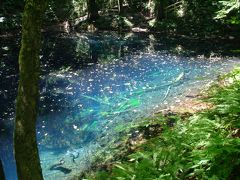 白神山地と十二湖の青池