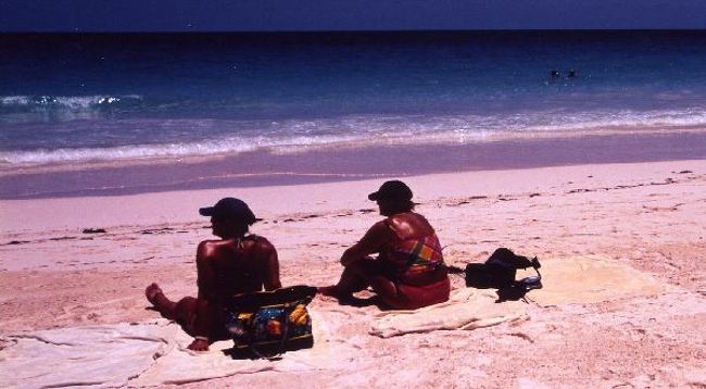 エルーセラ島<br />魚の骨のような島にはピンクサンドビーチがある。<br /><br />ナッソーから高速船で2時間30分。乗客には日本人の姿は他にない。イギリスの避寒地として一躍有名になったのがダイアナ元王妃とチャールズ皇太子がハネムーンで訪れたからである。「エルーセラ」とはギリシャ語で自由を意味している。アフリカから連れて来られた最初の黒人の新天地でもあった。<br />この島のハーバーアイランド（4ｋ?）にピンク色の砂を持つビーチがある。今回のバハマへの旅の目的のひとつが、このビーチを訪れる為である。<br />その名も「ピンクサンドビーチ」。船には、ツアー客用のコーディネーターが乗船していて、世界各国からの観光客の世話をしてくれる。アジア代表は我が小鉄と二人きり。<br />一日ツアー（169?）はランチ（20?）とカートが一台付いているので、納得のいく値段。<br />港にはゴルフカートがすでに行儀良く並んで我々を待っている。一台のカートが支給され、自由に島の探索をどうぞと地図を渡される。団体行動でないのが何より助かる。目指すは「ピンクサンドビーチ」、二回ほど道を尋ねてお目当てのビーチに到着。なんとも美しい砂浜は確かにピンク色をしている。指先でつまんで見ると小さなピンク色の貝殻のような物が混じっている。パウダ状の砂は指の間からサラサラとこぼれ落ちる。ロマンチックな砂浜では恋人同士が肩を寄せ合っている。何だか命の安らぎさえ覚えるビーチに癒される。<br />小さな港はピンク・イエロー・ブルーとカラフルな町並み。<br />日本のどこかの島にあったような古びたレストラン。扇風機の回る音に子供の泣き声、のどかな島はバハマに居ることさえ忘れてしまうほどの静けさだ。<br />島を散策して帰る前にもう一度「ピンクサンドビーチ」の美しさを目に焼き付け、フイルムに納めた。<br /><br />