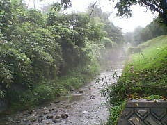 毛呂山町ゆずの里キャンプ場