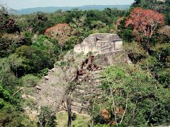 中米旅行　グアテマラ　ティカル観光