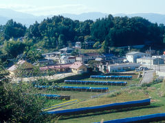 泰阜村