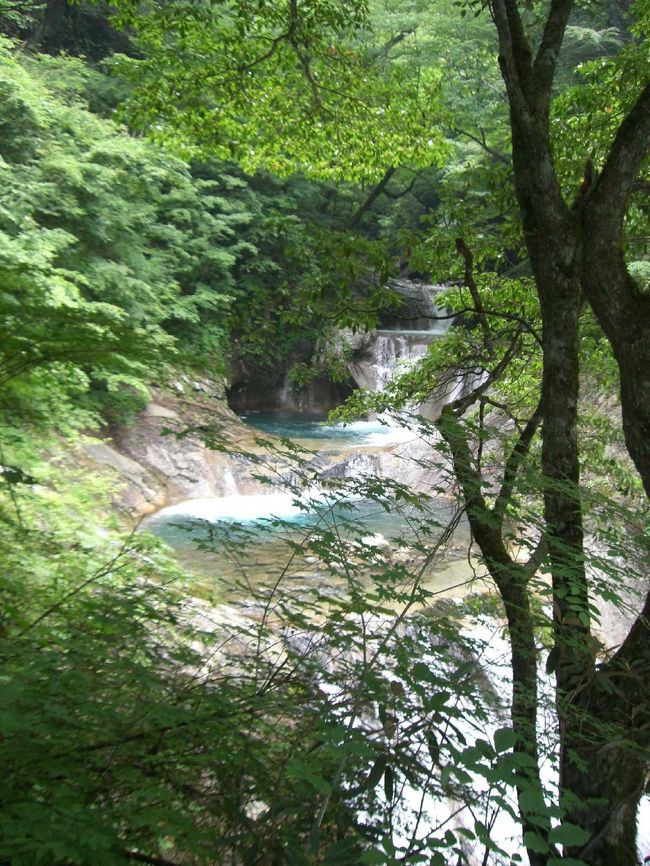 山梨の西沢渓谷の「七ツ釜五段の滝」を観に行ってきました。西沢渓谷は緑も渓流も美しく、せせらぎや鳥の鳴き声なども耳にやさしく、人もそれほど多くないので、のんびりと安らげるところでした。是非、又、行きたいです。<br /><br />またまた母と二人でいってきました。今回は母のリクエスト。実は私は、JAFの情報誌に掲載されていた日帰りドライブ・プランの特集で此処を知り、2003年の夏に一度来ました。その時のことを「とっても良かったよ」と母に話したのを覚えていたらしく、三年越しで行ってみる事にしました。マイペースに相変わらずの遅い出発。梅雨の合間、天気を気にしながら、国道299を通って秩父へ。国道140を山梨方面に向かうと、どんどん曇り空になって雨が振り出し、雁坂トンネルの手前ではかなりの雨に(T_T) 「山をこえると天気は変わる!?」と願いつつ雁坂トンネルへ。通行料は普通車で¥710。ちょっと高すぎ^^; そのおかげか、交通量は少なめ。すいすい行けます(^^)v 「通行量が少なく採算とれない→値段を落とせない」という悪循環を感じられる。両県の発展と交流の為にも、¥500以内を目指してもらいたいものです。<br /><br />雁坂トンネルを抜けると、曇り空ながら、天気はまだもちこえていました。ラッキー!\(^o^)/ 西沢渓谷はトンネルを抜けると、もうすぐそこです。イメージ的にはいくつかのカーブを、くぅ〜るっ(カーブを曲がっていく擬態音)、くぅ〜るっとすると(ちなみに2個じゃありませんん。)、左曲がりのカーブの終り位のところに、突然入り口が現れます。道の左側に看板もあるのですが、カーブなので、見にくいです。【注:埼玉側からのケースです。】<br /><br />入り口を入ると右側に食堂やお土産屋さんが数件立ち並んでいます。そこの有料(?)駐車場もあります。無料駐車場は、入り口を入って直ぐ、左にある下り坂の道を下りたところです。収容台数は50台位だと思います。<br /><br />到着は11:00頃。無料駐車場に車を停め、準備開始。虫除けスプレー、帽子、ペットボトルを持つ。無料駐車場への道をあがった真ん前にあるお店でお昼に「山菜おこわ」と「よもぎ餅」各一個購入。結構高かった気がするけど、天然なんだそーだ。ここでトイレを借りて出発。小腹がすきはじめ、早速よもぎ餅を食べる私(笑)<br /><br />西沢渓谷は「お散歩」というには、ちょっとハードです。距離と起伏があります。ハイキングになるんでしょうか。軽装で大丈夫ですが、動きやすい服装や靴が良いでしょう。特に渓流沿いは岩場もあり、かなりの階段を登る所もあります。ミュールやサンダルで来ている人をよく見ます。今回も若いカップの女性がそうでしたが、ちょっと大変そうでした。場所的には素敵なデート・スポットだと思いますが、気遣い的に疑問を感じる所です。愛があれば問題ないかもしれませんが、御注意を♪ 一方、小さなお子さんを連れてハイクされている方も結構いらっしゃいます。元気に歩いていて、私より早かったりします。TPOとペースを守れば、わりと広範囲の人が楽しめるコースだと思います。<br /><br />「七ツ釜五段の滝」まで約一時間と思っていたのですが、勘違いでした。到着まで約2時間。道中、写真をとる人達やウェットスーツを着て渓流スライダー(?)を楽しむ人たちを見ました。途中、少し雨が降ってきたりもしたのですが、大降りになることもなく、もちなおしてくれました。西沢渓谷のポスターでよく使われている景色と思われる場所があり、そこでお昼にしました。いつも何も持たず出かけてしまう私達。初めて、ハイキングの途中でお昼を食べる事ができました。嬉しい(^^)v 欲を言えば、今度はレジャーシートも持っていこっ♪ <br /><br />このコースは一周できるようになっています。一周約4時間位だと思います。前回、一周した時、後半は林の中風のコースだったので、私達は渓流沿いの同じコースを帰る事にしました。渓流沿いより林の方が、どちらかというと楽だった気がします。帰りに私達が折り返した時にいた(一周されて戻ってきた)人達に合いました。今思うと、一周した方が良かったかも。<br /><br />車に戻ると、もう16時頃。小腹が減っていたのですが、帰路途中でなんか食べようと車を出しました。お腹がすいて途中にあった道の駅によりましたが、スナック系の食べ物がなく、アイスクリームを食べました。おこわを買ったお店でうどんでも食べとけばよかったな。。。残念(T_T) <br /><br />雁坂トンネル通行料 普通車片道 ¥710<br />http://www.nns.ne.jp/ass/tollgate/karisaka.html<br /><br />西沢渓谷 山梨県山梨市三富エリア<br />http://www.city.yamanashi.yamanashi.jp/kanko/seeing/29.html<br />山梨市役所電話 0553-22-1111(代表)<br /><br /><br />西沢渓谷についていの読み応えあるすてきなサイトをみつけましたので、ご紹介します。<br /><br />Woodyさんの「Woody Personal Site」です。西沢渓谷の写真です。私のとは比べ物にならないくらい美しい写真です。<br />http://woodypersonal.gooside.com/tyubu/nisizawa/nisizawavalley.htm<br /><br /><br />キューピーさんの「キューピーの散歩同好会」です。読み応えのある西沢渓谷のレポートです。<br />http://www3.plala.or.jp/sanpo/nishizawakeikoku.htm<br />