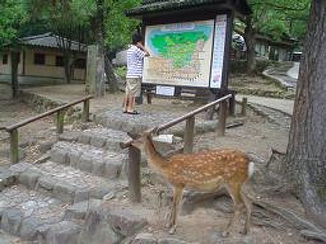 大阪城と奈良公園<br />