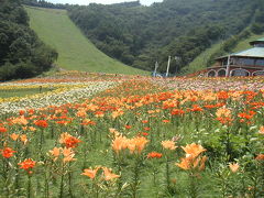 尾瀬岩鞍ゆり園＆吹割の滝　【前半】ゆり園