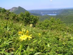 花と根釧原野の大展望、そして摩周湖を眺める：西別岳登山