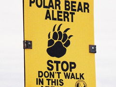 憧れの国カナダへ　初の海外一人旅　(1)Did you watch “POLAR BEAR”?