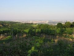 オーストリア・ハンガリーツアー（ホイリゲ）