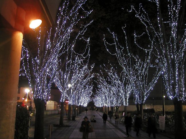 ついに幻のつくばエキスプレスのクリスマスのイルミネーションを発見！と大それたものではありませんが、昨年末見たきれいな飾りつけはパリのイルミネーションにも負けないものでした。パリの写真とごっちゃになってわからなくなっていましたが、これで私にとって近くて遠かった茨城県も完成！です