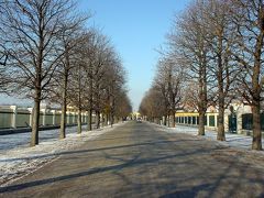 オーストリア：　ウィーン　クリスマスの「シェーンブルン宮殿」