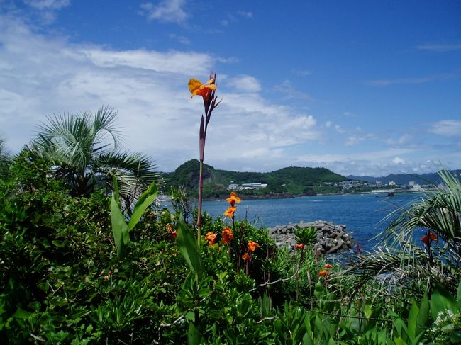 新日本百景に指定されている鴨川の仁右衛門島に行ってきました。島は大きくありませんがなかなか奇麗です。磯遊びやバーベキューもできます。<br />http://www.niemonjima.com/