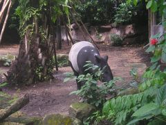 3世代旅行。ティオマン島＆シンガポール。＜シンガポール編＞