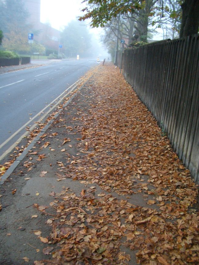 渡英して一月が過ぎました．少しずつイギリスの生活にも慣れてきました．少々難航していた子供達の学校の件もようやく片付き，いよいよ現地の学校に通い始めました．ヨーロッパの11月と言えばもう晩秋．そこここに深い秋の気配が漂ってきました．