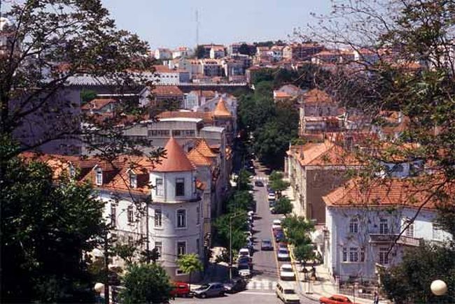 リスボンのサンタ・アポローニャ駅から海岸沿いに北上し、コインブラへ。コインブラは１１世紀から１３世紀まではポルトガルの首都であった。また、ポルトガルのハイデルベルクともいう大学の町でもある。駅の近くのホテル・アストリアに宿を取った。<br /><br />旧カテドラルを見て、COINBURA大学へ行った。COINBURA大学は１２６０年に建てられたポルトガル最初の大学である。図書館にも寄った。大学から見下ろす町はモンテゴ川が流れ、きれいだ。<br />私達は階段を上ったが、下からトロリーバスが来ていた。大学生達とお茶を飲んでちょっと話をした。学生達は真面目でいい。バスはやたらと乗って、終点から折り返してきた。<br /><br />涙の館、この館には、あんまりぞっとしないが、悲しい話がある。裏手には涙の泉があり、石碑に詩が刻まれている。「哀れな死をとげたモンテゴ川の娘、流れ出た涙は愛の名をもって水となり、清らかな泉となって生き、花々を育てる」というのだそうだ。ここはイネス・デ・カストロが住んでいた館だった。<br /><br />アルフォンソ４世の息子ペドロは政略結婚で、カスティージャのコンスタンサと結婚することになっていた。ところがこの姫に付き添ってきた侍女で、気品も高く美しいイネス・デ・カストロに心を奪われ、二人は恋におちた。二人には３人の子どもも生まれた。カスティージャの圧力を恐れて、イネスを不法な裁判にかけ処刑してしまった。<br /><br />やがて父アルフォンソ４世がなくなり王座についたペドロは、イネスが忘れられず、教会にイネスとの結婚が正当であると認めさせ、なきがらに衣服を着せ、コインブラからアルコサバに運ばせ王妃の座に着かせた。イネス殺害に手を貸した者どもは全て首をはねられた、というのだ。<br /><br />ホテル・アストーリアにはレストランがあった。ウェイターがハウスワインを勧めたので、そればかり飲んでいた。<br /><br />コインブラの町は気に入ったので、ネコの名前にコインブラとつけた。<br /><br />翌日、コインブラからポルトへでかけた。電車で２時間ぐらい。もちろん、本場ポルト酒を飲むためである。ポルトはアルコール強化ワインである。ある程度、発酵が進んだワインにブランディを添加して発酵を抑える。すると甘いワインができる。川べりで船を見ながらポルトをいろいろ飲んでみた。うん、私には甘すぎた。<br /><br />カテドラルにも行ったし、宝物殿も見た。町も歩いた。<br /><br />