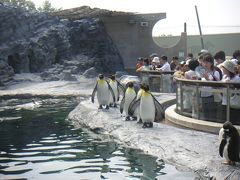 旭山動物園と富良野・美瑛の旅