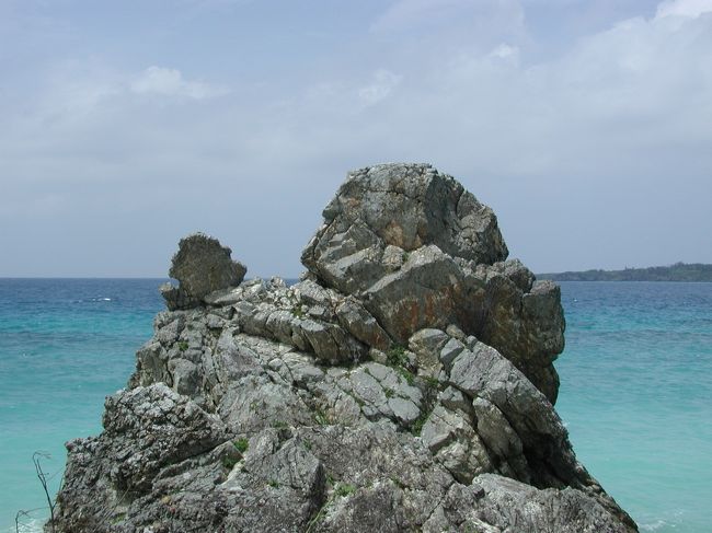 沖縄本島編<br /><br />12日晩に石垣島から沖縄本島に到着。<br />13日にダイビング。<br />14日に帰る予定が、台風のおかげで飛行機が欠航。<br />15日の飛行機で帰りました。<br /><br />13日夕方には翌日搭乗予定の飛行機の欠航がわかっていたので、航空会社に連絡し15日のチケットを予約し、ホテルも延泊。<br /><br />15日の那覇空港は、キャンセル待ちの客で今まで見たことのないほどの大変な混雑でした。<br />