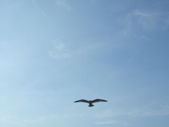 空は青　（フィンランド２００６その１）