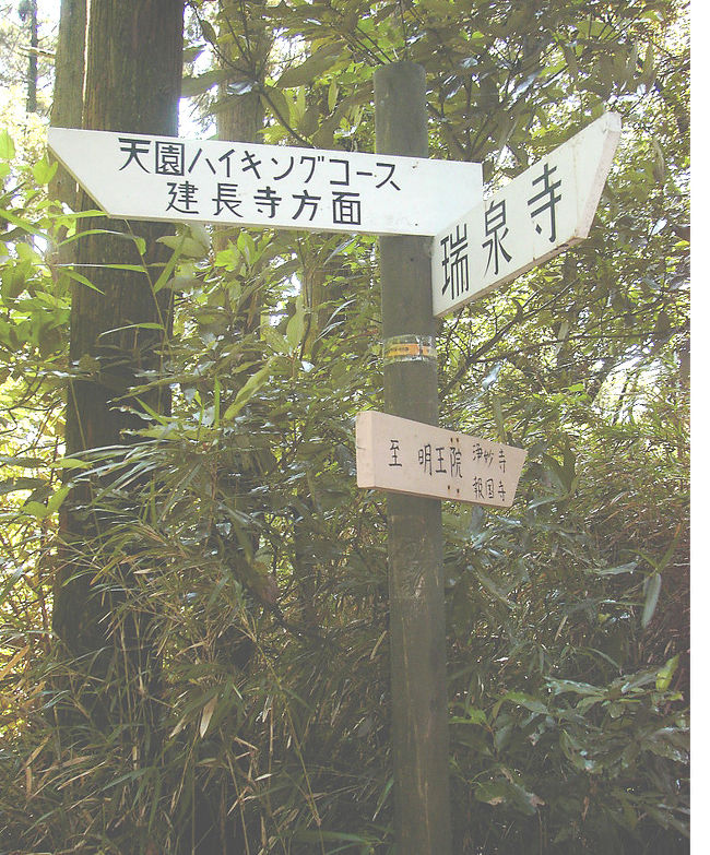 鎌倉には気軽に歩けるハイキングコースがあります。主に「天園コース」「葛原岡･大仏コース」「祇園山コース」の3つです。この中のひとつ「天園コース」を歩いてみました。<br />建長寺→半僧坊→勝上けん展望台→天園→瑞泉寺 約5.0km。