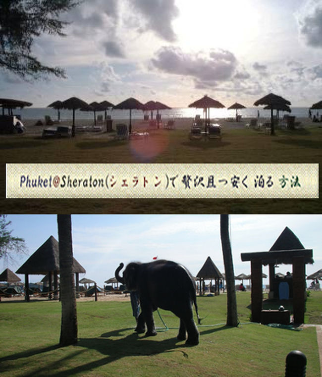 世界有数のリゾート地タイ王国プーケット島へのバカンス旅行で、短期旅行ではなく、欧米人のような長期型のんびり滞在を目指した子連れ旅行日記です。少し豪華に、しかし無駄なお金は使わずに楽しく安全に過ごした滞在経験を紹介します。<br />滞在したホテルはシェラトン・グランデ、プーケットのリゾートエリアでも高級な地域であるバンタオ・ビーチ(ラグーナ)に位置するホテルです。 <br />ホテル紹介の他、CentralデパートやLotusスーパーマーケット、地元の美味しいレストラン等を紹介します。<br />詳しくは下記にアクセスしてください。<br />http://www.mozartant.com/Phuket_Sheraton/phuket.html<br />旅行日記版はこちら<br />http://phuket.blog6.fc2.com/<br /><br />
