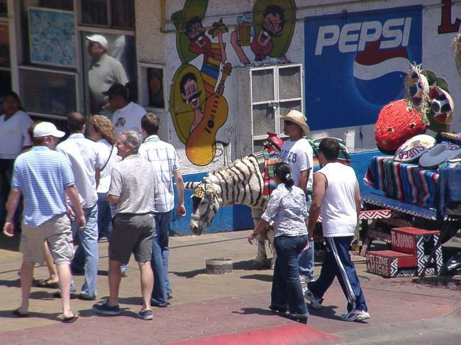 メキシコとアメリカの国境の町<br />メキシコ側のティファナという町を訪れました。<br /><br />う～んメキシコ。田舎だな。<br />のんびりとしたムードはなんともいえません。<br />とはいえティファナはアメリカの国境シティだけあって<br />まだ洗練されているほうらしいです。<br />これで。。。？<br /><br />もっとカントリーに出かけるとどんなコトになってるんでしょ～