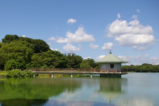 　先日に続き良い天気につられて撮影会。今回も楽しい写真が撮れました。小さな子供を連れた家族連れが目立ちました。朝の秋の気配から、午後は夏に戻りました。