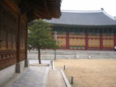 ☆近い！おいしい！