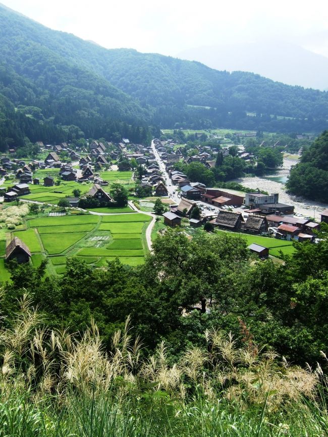 日本の世界遺産「白川郷」です。<br />予想通り人がたくさんいたけど、人々は親切で自然がいっぱい。<br />これからもこのままでいてほしい、そんな場所でした。