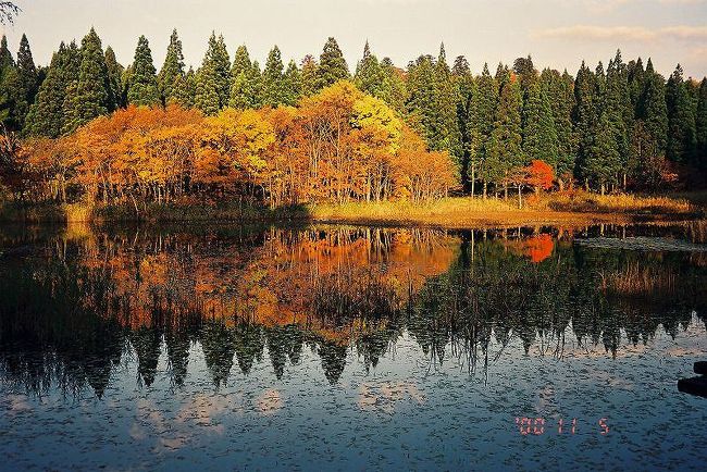 ２０００年の誕生日に随分久しぶりに酒田の町や鶴岡の町を<br />歩いてきました、羽黒の紅葉が素晴らしかった。