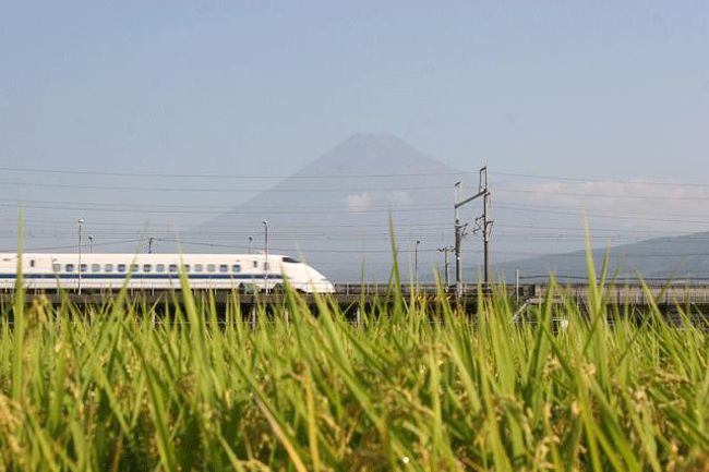 ８月２０日に「伊豆ブラリ旅パート?=富士山と新幹線編=」と場所は近いのですが、使用したレンズが広角になりました。(１枚目を除く。)