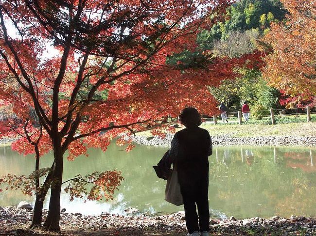 福島県の白水の阿弥陀堂の紅葉の美しさ、<br />祝日の日に行ってもこの静けさ、<br />池に映える紅葉、