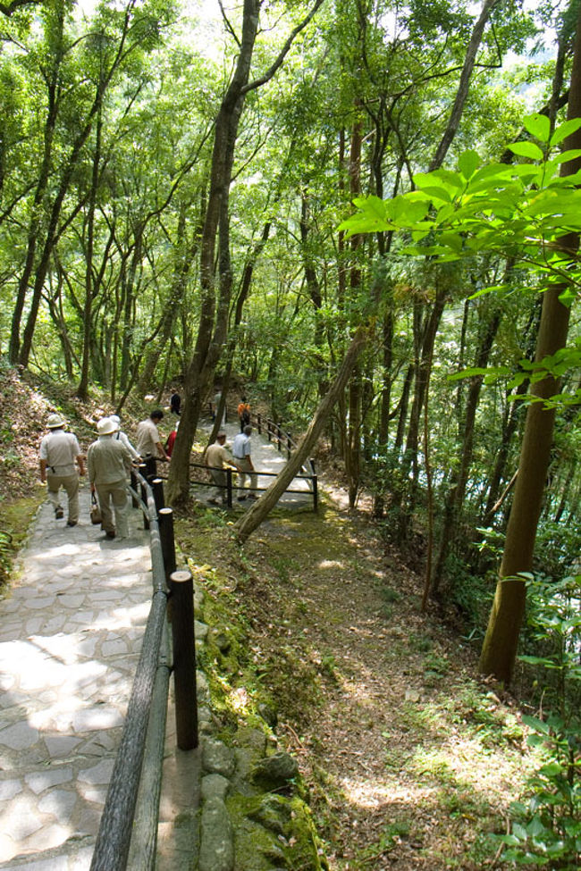 高千穂峡(たかちほきょう)編<br />ここから宮崎県になります。<br />宮崎県の最北部、熊本と大分の県境にあります。<br />天孫降臨伝説、天岩戸伝説などがある土地で神話の里と言われています。<br />天岩戸などといいますと、日本あちこちに存在するのですが、元は古事記・日本書紀から来た話ですので、実際にその地にある物が正しいかといいますと疑問が持たれます。<br />今回は、神話の舞台の高千穂紹介ではなく高千穂峡です。