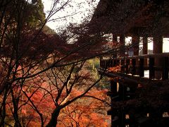 京都　清水寺紅葉散歩