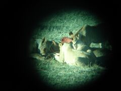 ケニアの大自然を満喫する６日間のたび