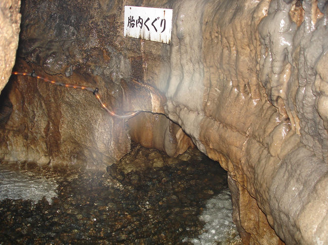入水鍾乳洞にやってきました。ここは隠れた探検スポット。全長約900mの洞内には多数の鍾乳洞が垂れ下がり、ひざまで冷たい水に浸かって、狭い隙間や四つんばいにならないと通れない通路を進みます。