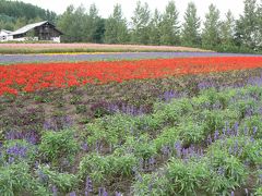 ゆるり旅・2泊3日北海道編