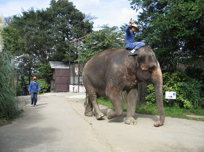 「星になった少年」の映画を見て実話と知り、ぞうとタイの象使いを見に行ってきました。海ホタル経由での車での日帰り旅行です。
