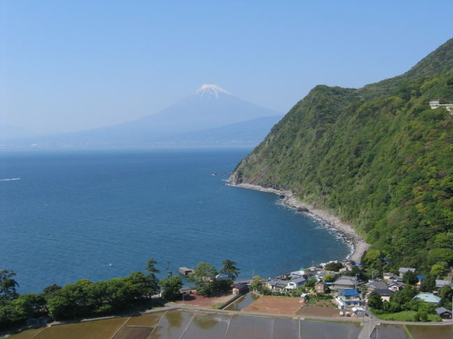 　ＧＷに伊豆でキャンプをするべく、車で出かけました。天気がとても良く、いろいろなところから富士山を愛でることができました。