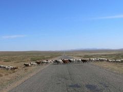 2006年秋～モンゴルの風景