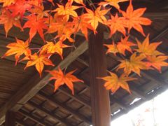 京都・紅葉１人旅1泊2日（1日目前編）