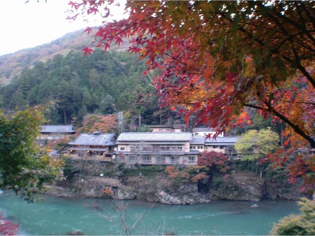 １１月２１日(日)から二泊で、ダイヤモンド京都ソサエティーに泊って、嵯峨嵐山の紅葉狩りを楽しんできました。<br />このホテルは、京都の街中のロケーションの良い場所に建っており、京都観光にうってつけで、昨年の紅葉や、今年の花見の時も利用した、お気に入りのホテルです。<br />今年は人ごみ覚悟で、燃えるような紅葉を目当てに嵯峨嵐山に行きましたが、例年に比べ鮮やかさに欠け、１１月はじめの軽井沢といい、今年は鮮やかな紅葉を楽しめず残念でした。<br /><br />