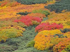 紅葉の旭岳登山