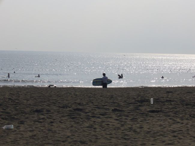 湘南にサーフィンしに行って来ました。<br />江ノ島で食べるシラスは最高に美味しいです。