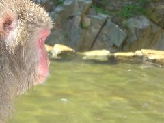 「善光寺・湯田中・地獄谷野猿公苑と小布施」初秋の旅