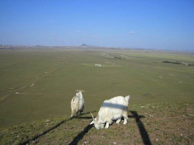 内モンゴル大草原と砂漠満喫の旅<br />大草原へ行くのが夢だったのですごい嬉しかったし、感動しました。<br /><br />