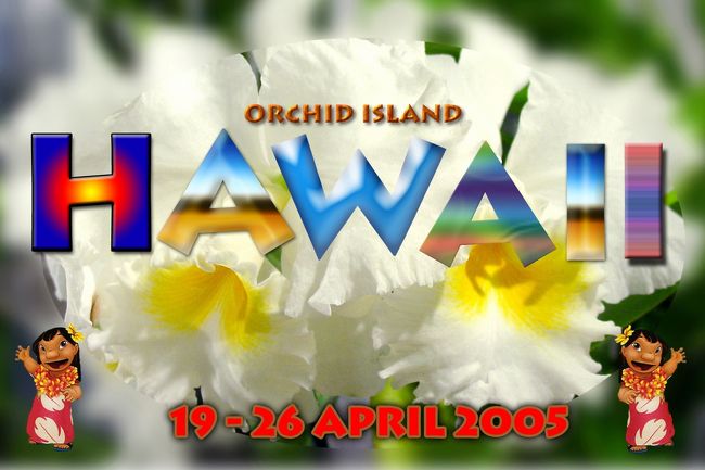 Big Island とか　Orchid Island　と渾名の付いたハワイ島を旅行しました。　　今回は国立公園内の　ＫＭＣ　に５日間宿泊、飛行場からの送迎、四つのツアー、コーテジ、食事付きパッケジを利用。　　その後ヒロの町には二泊しました。